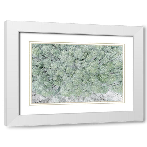 Aerial view of woods and white pine trees after a snowfall-Marion County-Illinois White Modern Wood Framed Art Print with Double Matting by Day, Richard and Susan