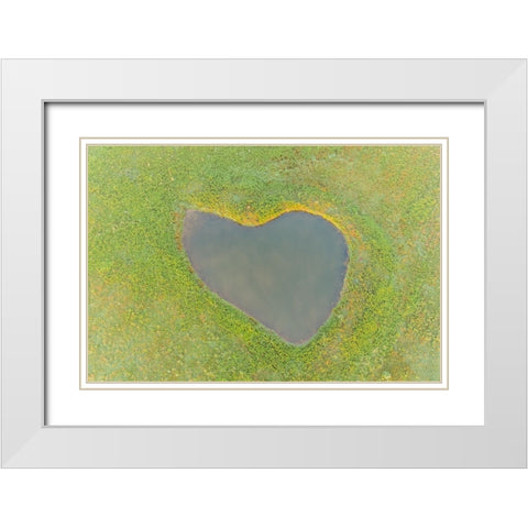 Heart shaped pond-Marion County-Illinois White Modern Wood Framed Art Print with Double Matting by Day, Richard and Susan