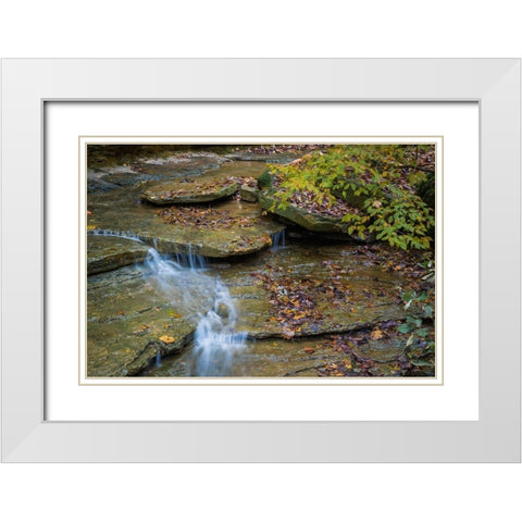 Rocky Ledges with Waterfall in Clifty Creek Park-Indiana White Modern Wood Framed Art Print with Double Matting by Miller, Anna