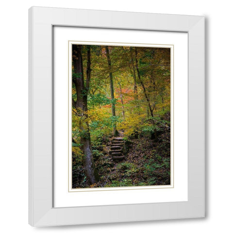 Trail Steps in Clifty Creek Park-Southern Indiana White Modern Wood Framed Art Print with Double Matting by Miller, Anna