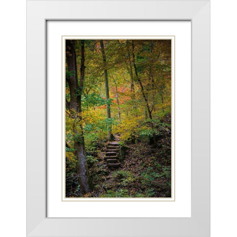 Trail Steps in Clifty Creek Park-Southern Indiana White Modern Wood Framed Art Print with Double Matting by Miller, Anna