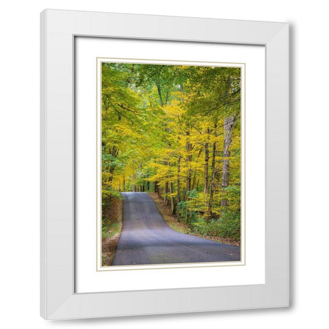 Curvy Road in Clifty Creek Park-Southern Indiana White Modern Wood Framed Art Print with Double Matting by Miller, Anna