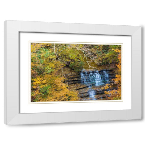 Fall Foliage Over Waterfall in Clifty Creek Park-Southern Indiana White Modern Wood Framed Art Print with Double Matting by Miller, Anna