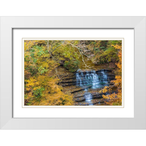 Fall Foliage Over Waterfall in Clifty Creek Park-Southern Indiana White Modern Wood Framed Art Print with Double Matting by Miller, Anna