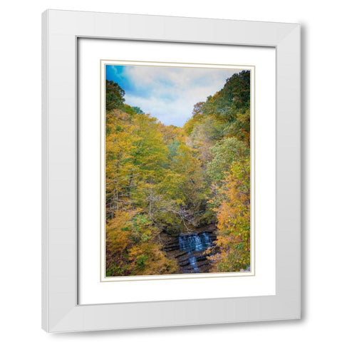 Fall Foliage Over Waterfall in Clifty Creek Park-Southern Indiana White Modern Wood Framed Art Print with Double Matting by Miller, Anna