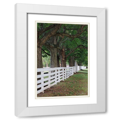 Gate and white wooden fence and overhanging trees-Shaker Village of Pleasant Hill White Modern Wood Framed Art Print with Double Matting by Jones, Adam