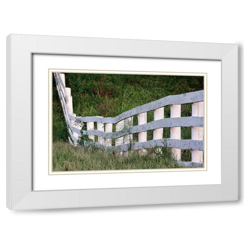 White wooden fence across rolling hill-Shaker Village of Pleasant Hill-Harrodsburg-Kentucky White Modern Wood Framed Art Print with Double Matting by Jones, Adam