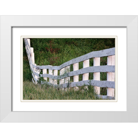 White wooden fence across rolling hill-Shaker Village of Pleasant Hill-Harrodsburg-Kentucky White Modern Wood Framed Art Print with Double Matting by Jones, Adam