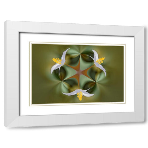 Bloodroot flower The Parklands-Louisville-Kentucky White Modern Wood Framed Art Print with Double Matting by Jones, Adam