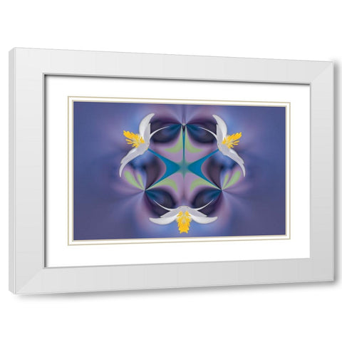 Bloodroot flower The Parklands-Louisville-Kentucky White Modern Wood Framed Art Print with Double Matting by Jones, Adam