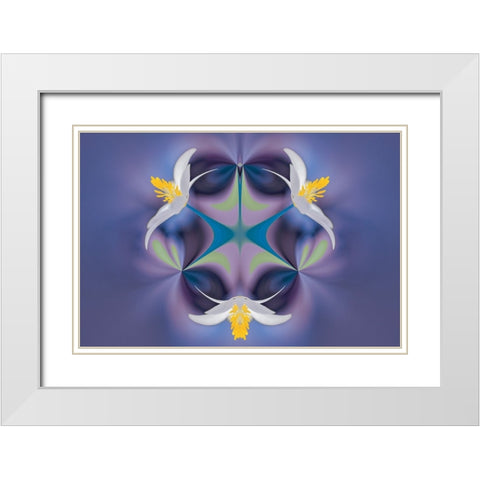 Bloodroot flower The Parklands-Louisville-Kentucky White Modern Wood Framed Art Print with Double Matting by Jones, Adam