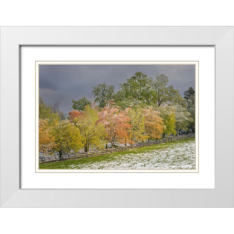 Light snow on trees in early spring-Louisville-Kentucky White Modern Wood Framed Art Print with Double Matting by Jones, Adam