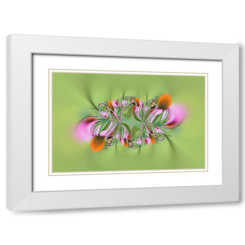 Tiger Swallowtail butterfly on purple coneflower-Kentucky White Modern Wood Framed Art Print with Double Matting by Jones, Adam