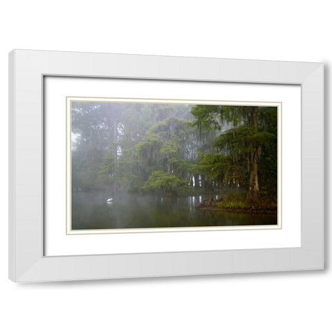 Louisiana, Lake Martin Great egret reflection White Modern Wood Framed Art Print with Double Matting by Morris, Arthur