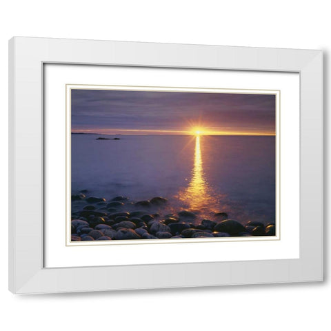 ME, Acadia NP,Â  Sunrise on fog and shore rocks White Modern Wood Framed Art Print with Double Matting by Talbot Frank, Christopher