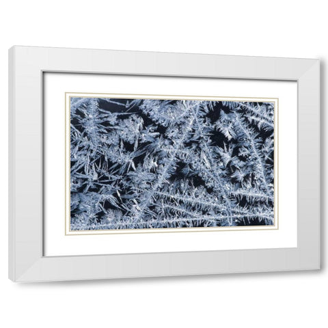 ME, HarpswellIce patterns on a winter window White Modern Wood Framed Art Print with Double Matting by Clemons, Kathleen