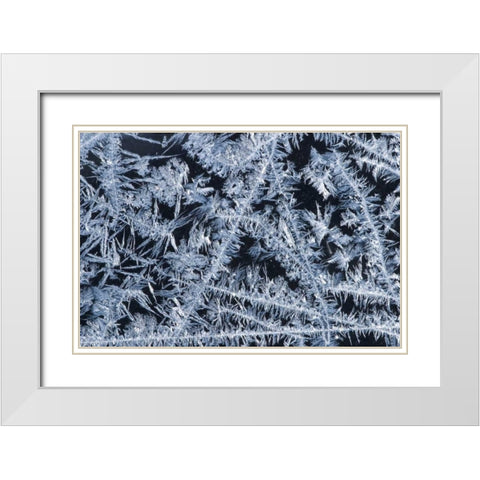 ME, HarpswellIce patterns on a winter window White Modern Wood Framed Art Print with Double Matting by Clemons, Kathleen