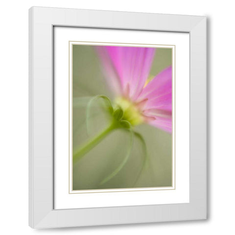 USA, Maine, Harpswell White Modern Wood Framed Art Print with Double Matting by Clemons, Kathleen