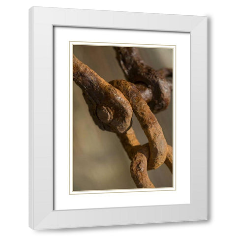 USA, Maine, Harpswell Rusted chain on a pier White Modern Wood Framed Art Print with Double Matting by Clemons, Kathleen