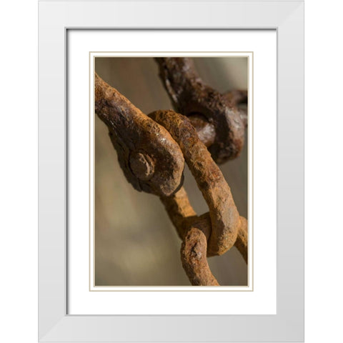 USA, Maine, Harpswell Rusted chain on a pier White Modern Wood Framed Art Print with Double Matting by Clemons, Kathleen