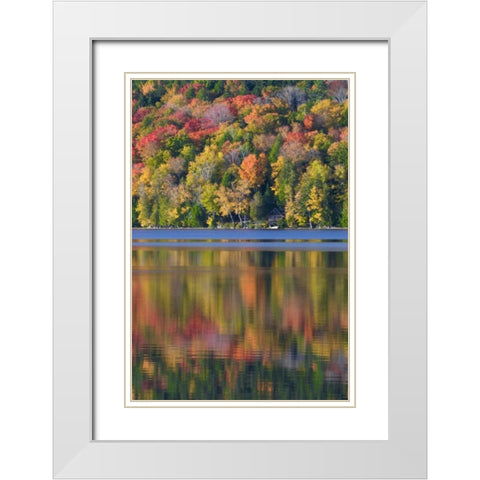 ME, Acadia NP Fall foliage and lake White Modern Wood Framed Art Print with Double Matting by Rotenberg, Nancy