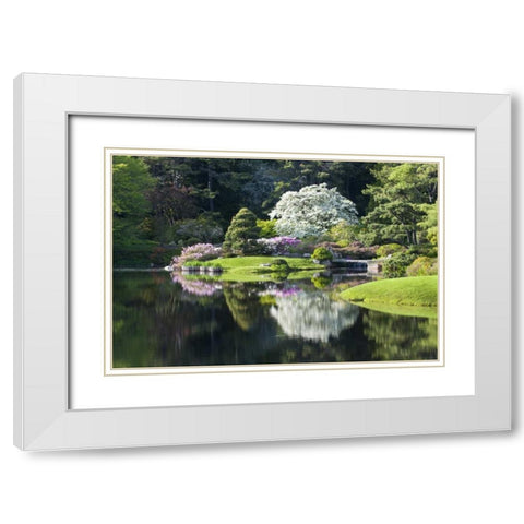 Maine, Northeast Harbor Garden pond scenic White Modern Wood Framed Art Print with Double Matting by Rotenberg, Nancy