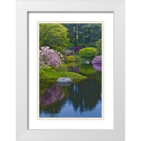 Maine, Northeast Harbor Azalea Garden White Modern Wood Framed Art Print with Double Matting by Rotenberg, Nancy