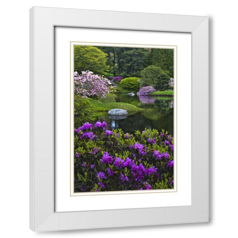 Maine, Northeast Harbor Beautiful Azalea Garden White Modern Wood Framed Art Print with Double Matting by Rotenberg, Nancy