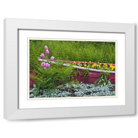 ME, Southwest Harbor Wooden boat used as planter White Modern Wood Framed Art Print with Double Matting by Rotenberg, Nancy