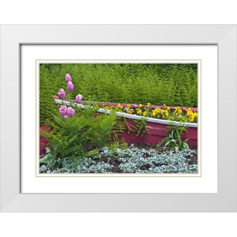 ME, Southwest Harbor Wooden boat used as planter White Modern Wood Framed Art Print with Double Matting by Rotenberg, Nancy
