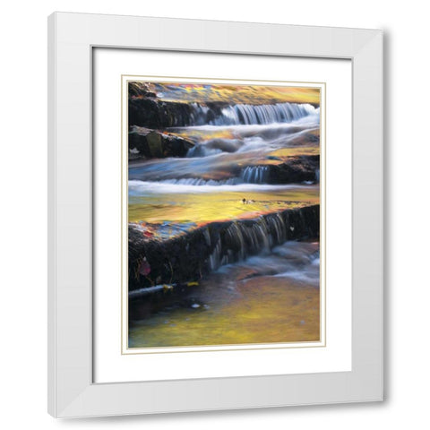 Maine, Acadia NP Autumn reflections in stream White Modern Wood Framed Art Print with Double Matting by Rotenberg, Nancy