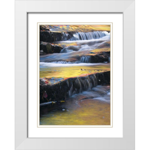 Maine, Acadia NP Autumn reflections in stream White Modern Wood Framed Art Print with Double Matting by Rotenberg, Nancy