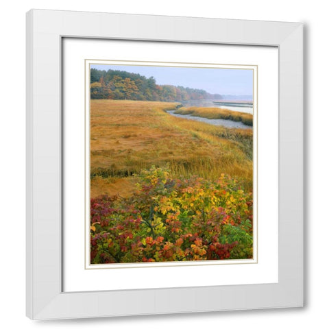 ME, Kennebunkport Tidal marsh on the Mousam White Modern Wood Framed Art Print with Double Matting by Terrill, Steve