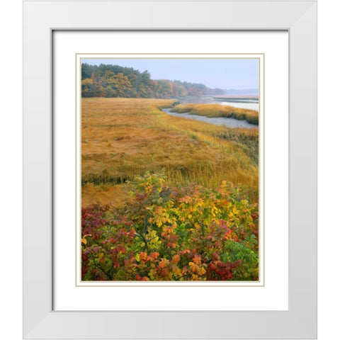 ME, Kennebunkport Tidal marsh on the Mousam White Modern Wood Framed Art Print with Double Matting by Terrill, Steve