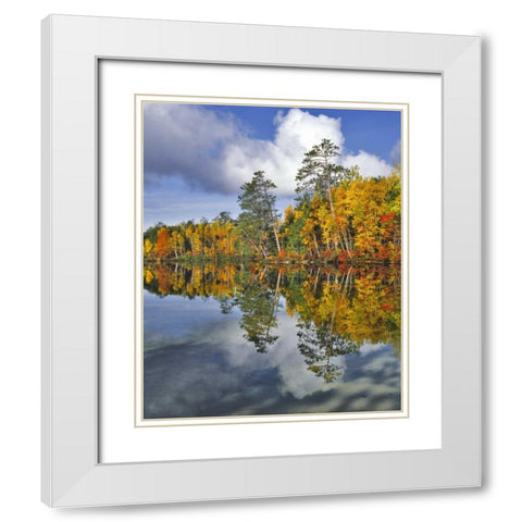 USA, Maine Autumn scenic of Upper Togue Pond White Modern Wood Framed Art Print with Double Matting by Terrill, Steve