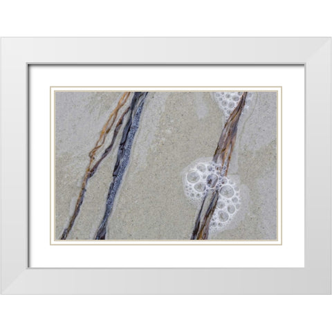 USA, Maine, Pine Point Sea weed between waves White Modern Wood Framed Art Print with Double Matting by Delisle, Gilles