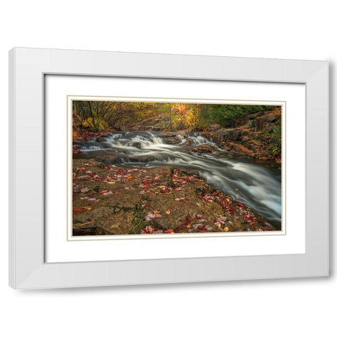 USA-Maine-Acadia National Park Stream rapids in forest White Modern Wood Framed Art Print with Double Matting by Jaynes Gallery