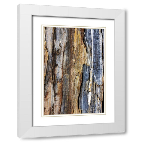 Striated rock at Pemaquid Point-Maine-USA White Modern Wood Framed Art Print with Double Matting by Haney, Chuck