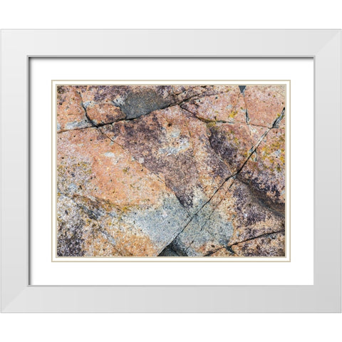 Maine Patterns on rock on the beach near Thunder Hole in Acadia National Park White Modern Wood Framed Art Print with Double Matting by Eggers, Julie