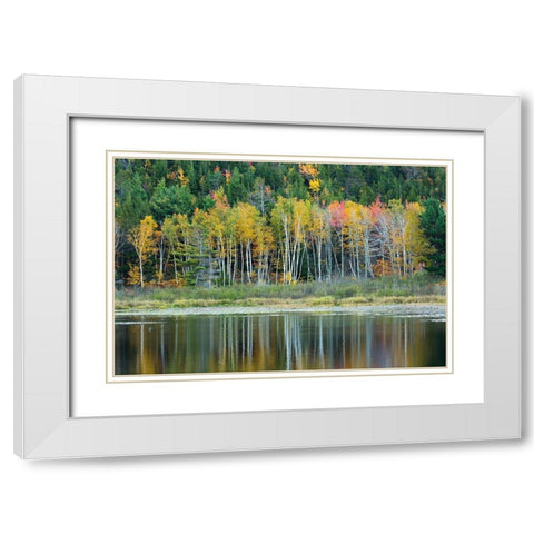Maine Fall reflections at Beaver Dam Pond in Acadia National Park White Modern Wood Framed Art Print with Double Matting by Wells, Joanne