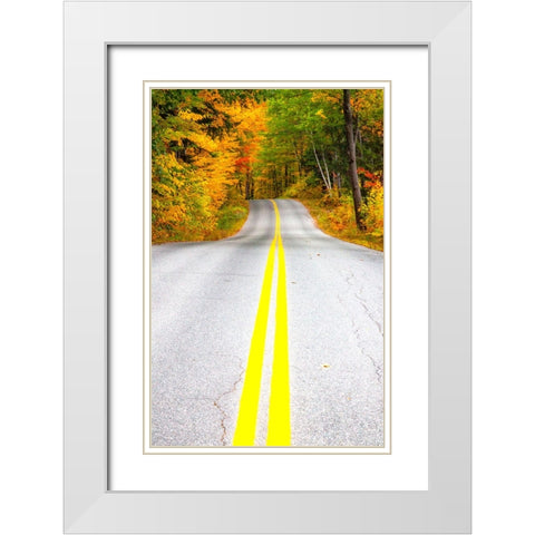 USA-Maine-Highway 113 lined by Maple and Birch trees in full Autumn color White Modern Wood Framed Art Print with Double Matting by Gulin, Sylvia