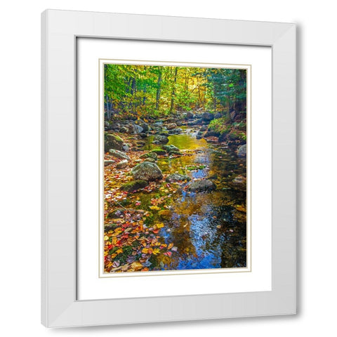 USA-New England-Maine Autumn and stream just off of Wild River Road White Modern Wood Framed Art Print with Double Matting by Gulin, Sylvia