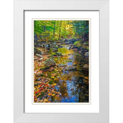 USA-New England-Maine Autumn and stream just off of Wild River Road White Modern Wood Framed Art Print with Double Matting by Gulin, Sylvia