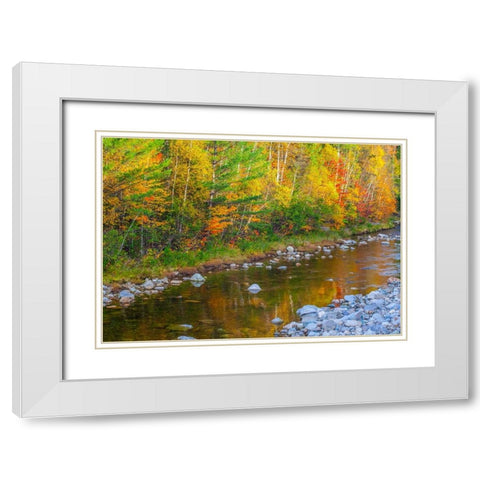 USA-New England-Maine-Wild River-reflections of Autumn colors in small river White Modern Wood Framed Art Print with Double Matting by Gulin, Sylvia