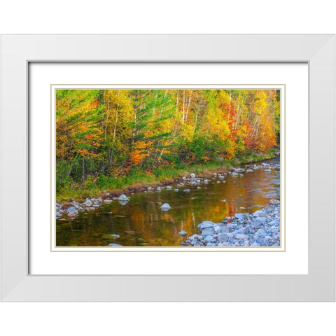 USA-New England-Maine-Wild River-reflections of Autumn colors in small river White Modern Wood Framed Art Print with Double Matting by Gulin, Sylvia