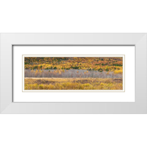 Maine-Mt Desert Island-Acadia National Park-autumn foliage White Modern Wood Framed Art Print with Double Matting by Bibikow, Walter