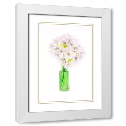 Maryland-Bethesda Green vase with cherry blossoms White Modern Wood Framed Art Print with Double Matting by Looney, Hollice