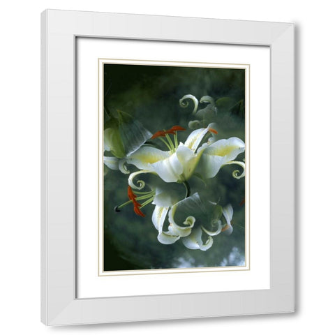 NY, Slingerlands Abstract of lily bouquet White Modern Wood Framed Art Print with Double Matting by Noble Gardner, Nancy