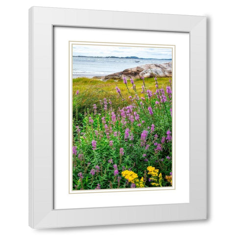 Ipswich Bay-Annisquam-Massachusetts-USA White Modern Wood Framed Art Print with Double Matting by Engelbrecht, Lisa S.