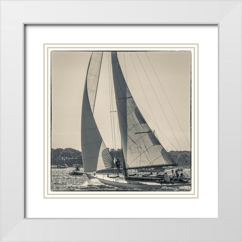 New England-Massachusetts-Cape Ann-Gloucester-Gloucester Schooner Festival-schooner parade of sail White Modern Wood Framed Art Print with Double Matting by Bibikow, Walter